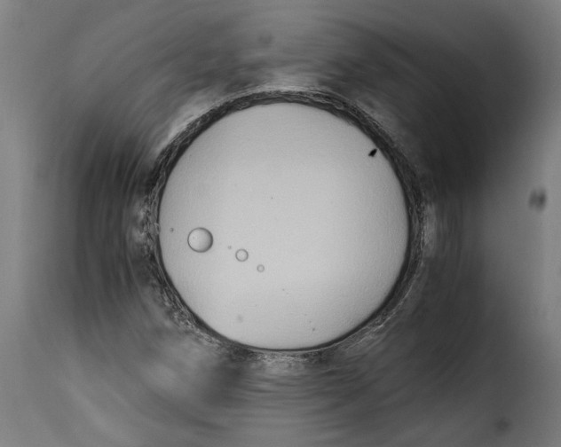 X0000115281258200911201744