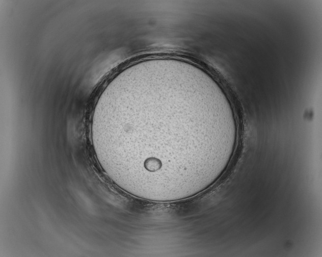 X0000115281259200911201744