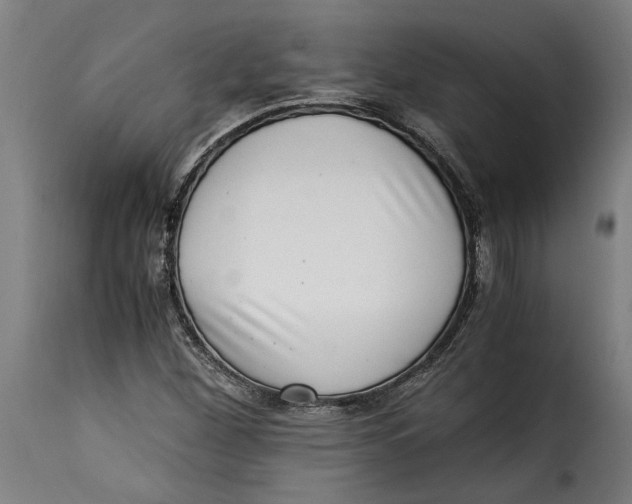 X0000115281260200911201744