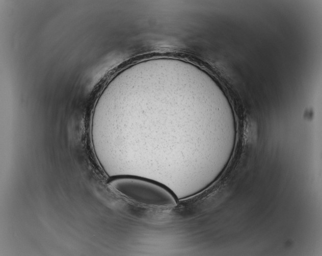 X0000115281261200911201744