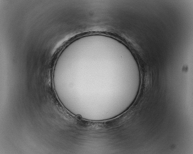 X0000115281262200911201744