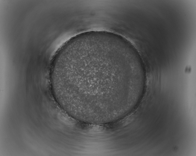 X0000115281263200911201744