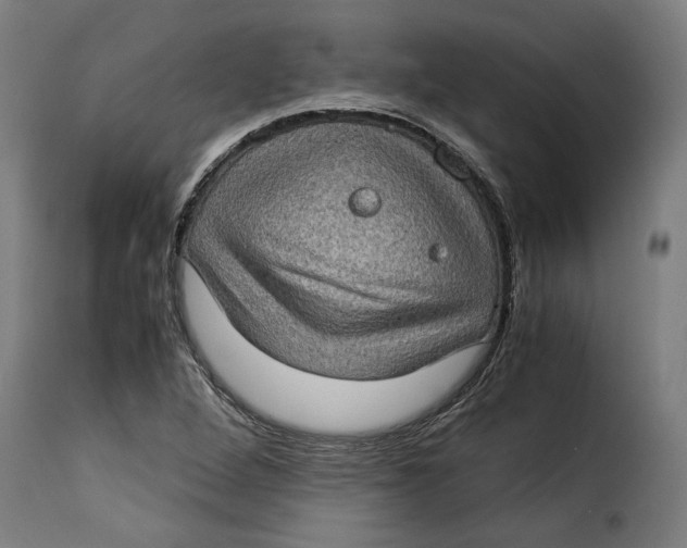 X0000115281264200911201744