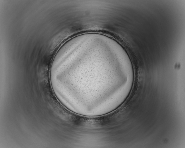 X0000115281265200911201744