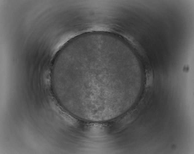 X0000115281266200911201744