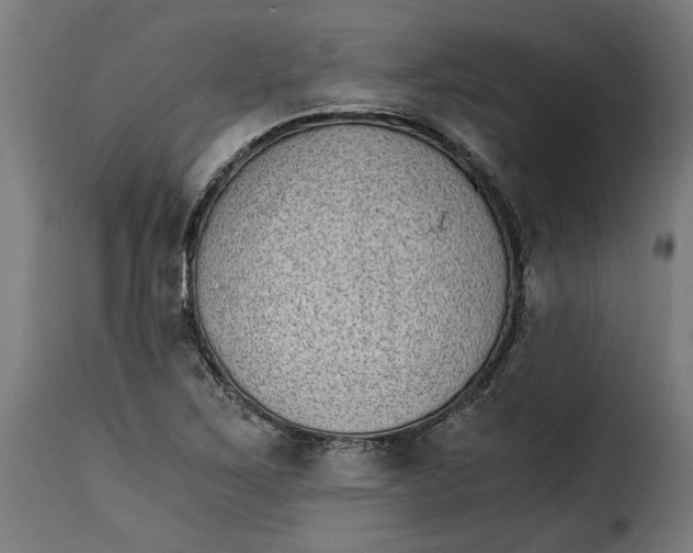 X0000115281267200911201743