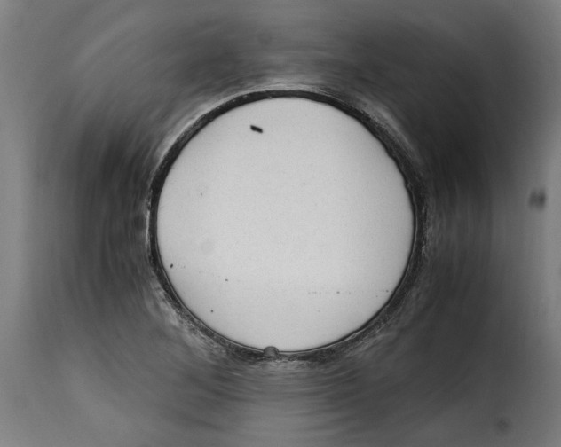 X0000115281268200911201743