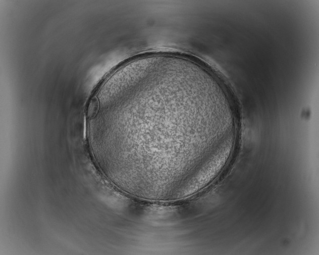 X0000115281269200911201743