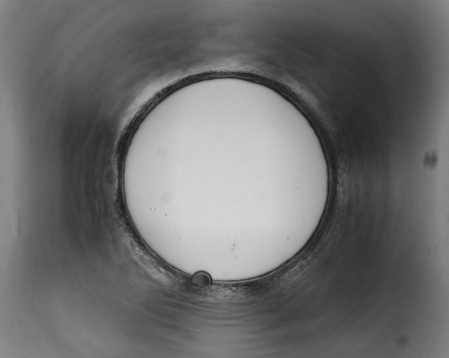 X0000115281270200911201743