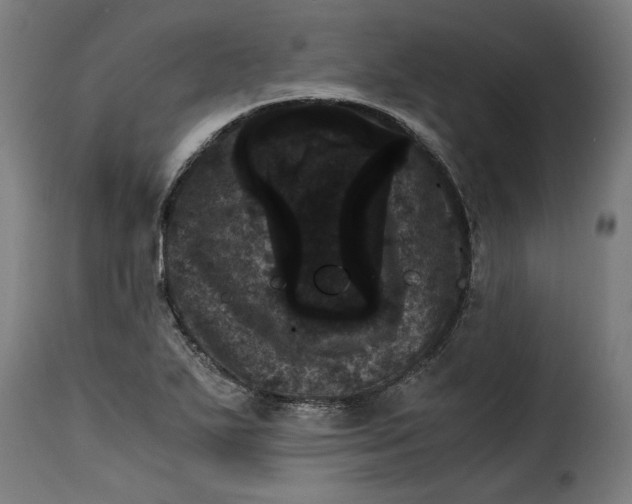 X0000115281271200911201743