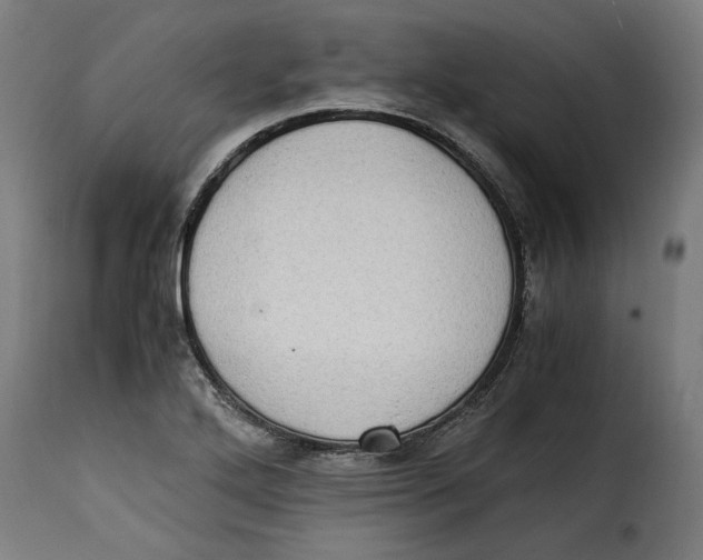 X0000115281272200911201743