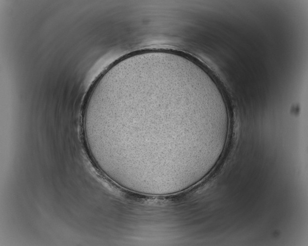 X0000115281277200911201743