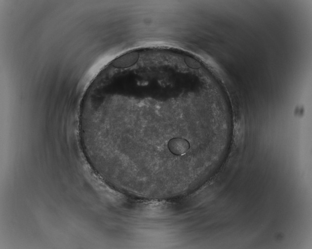 X0000115281279200911201743