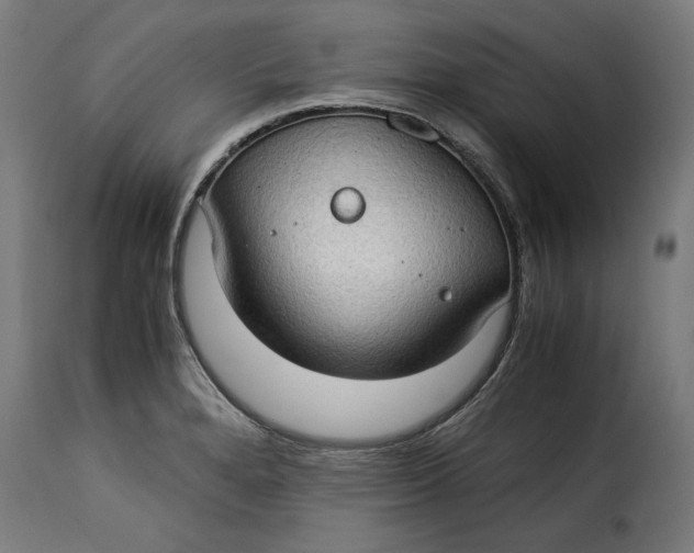 X0000115281280200911201743