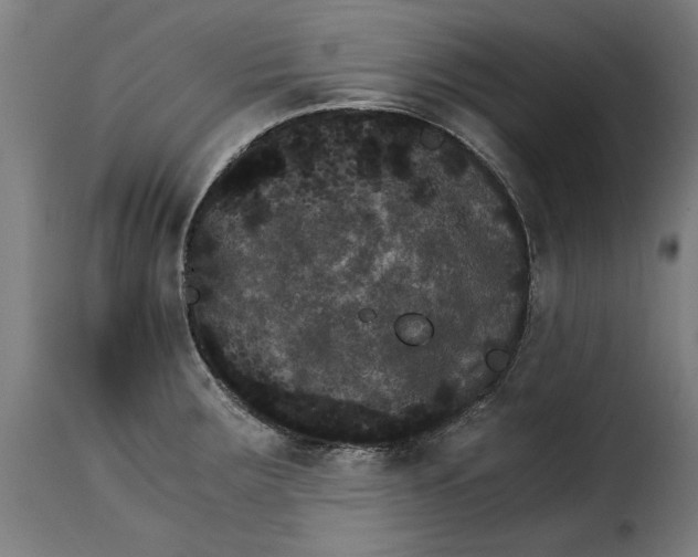 X0000115281283200911201743