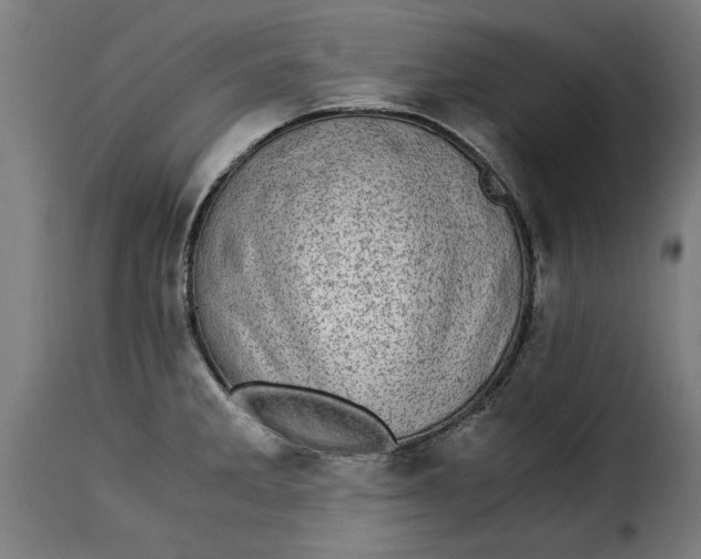 X0000115281285200911201743