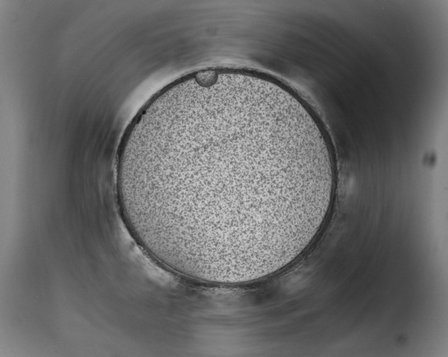 X0000115281287200911201743