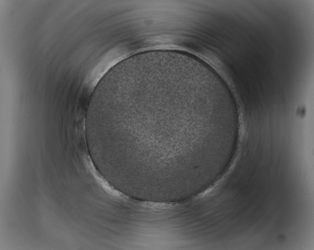 X0000115281289200911201743