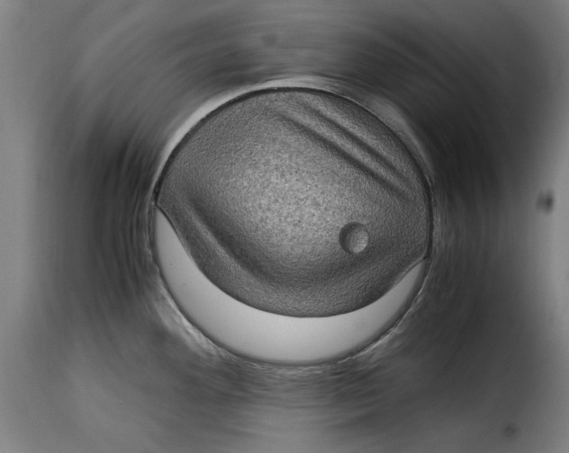 X0000115281292200911201743