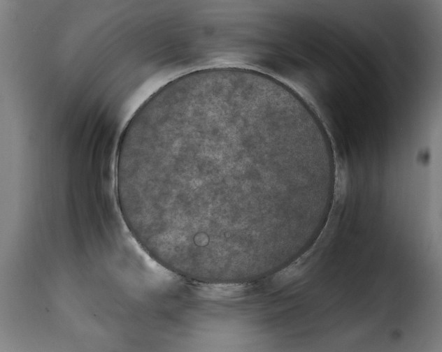 X0000115281294200911201743