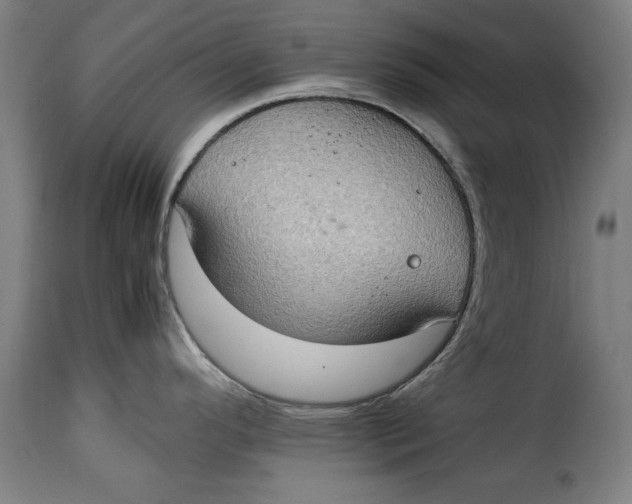 X0000115281296200911201743