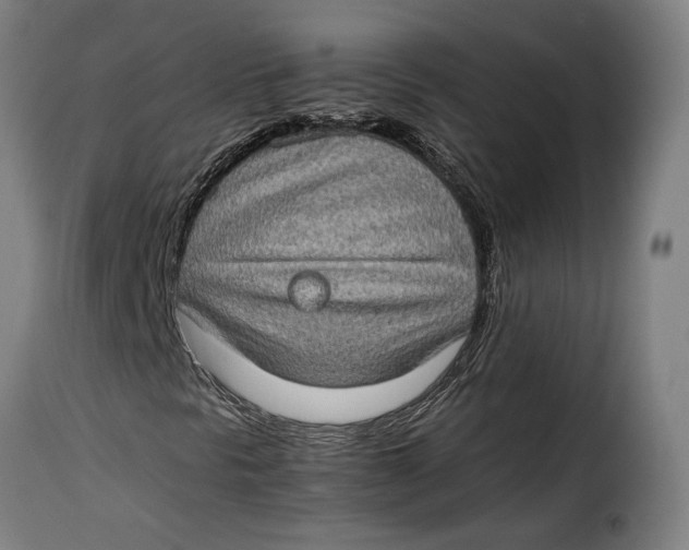 X0000115281297200911201742