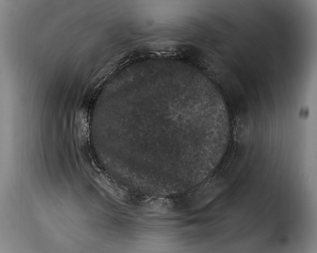 X0000115281298200911201742