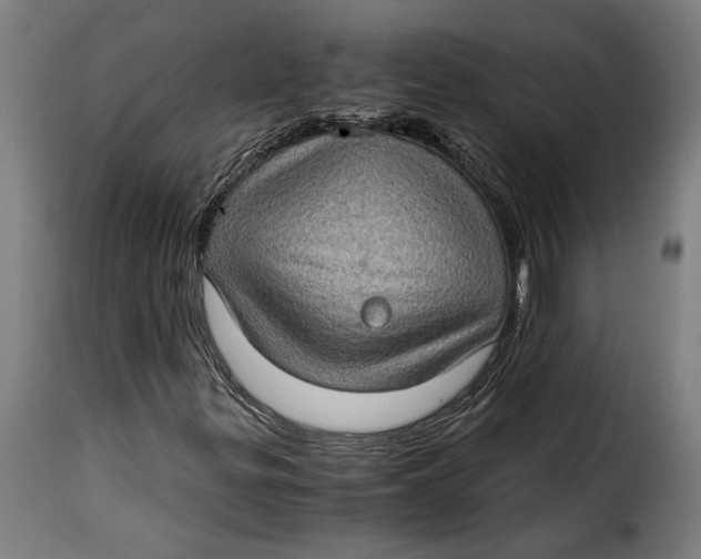 X0000115281299200911201742