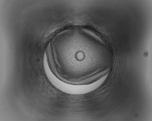 X0000115281301200911201742