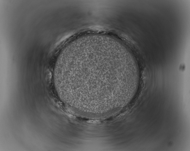 X0000115281302200911201742