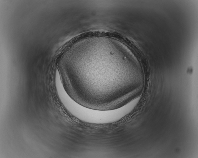 X0000115281303200911201742