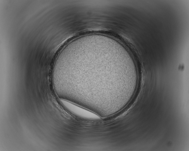 X0000115281305200911201742