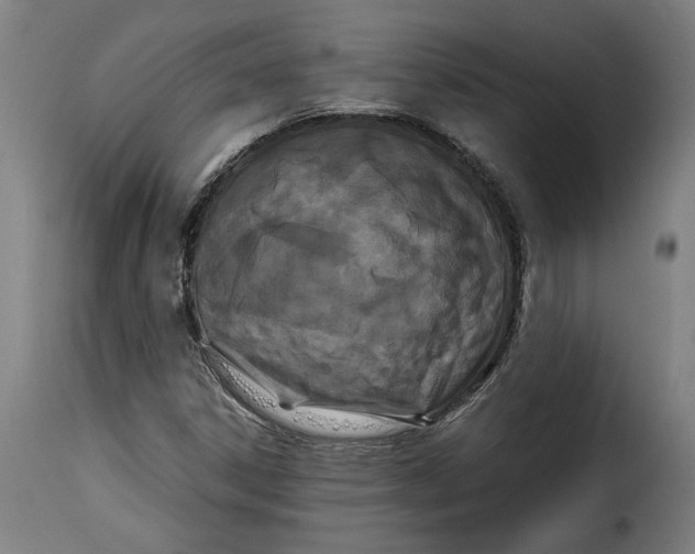 X0000115281306200911201742