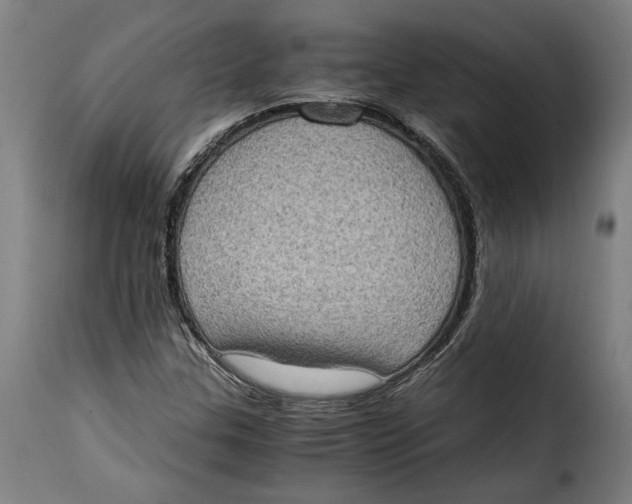 X0000115281307200911201742