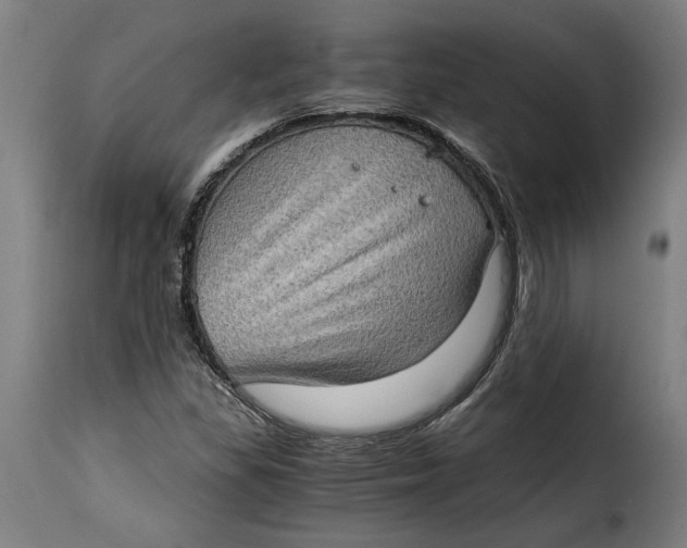 X0000115281309200911201742