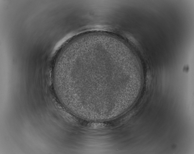 X0000115281310200911201742