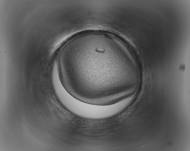 X0000115281311200911201742