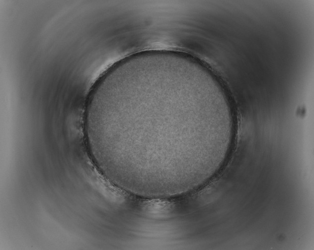 X0000115281314200911201743