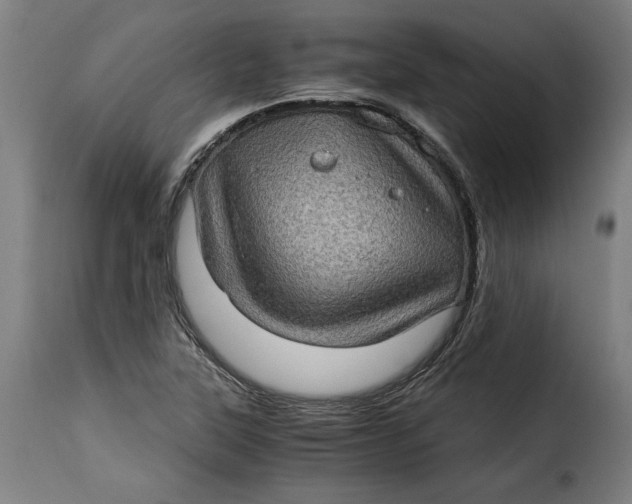 X0000115281315200911201743