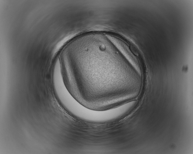 X0000115281317200911201743