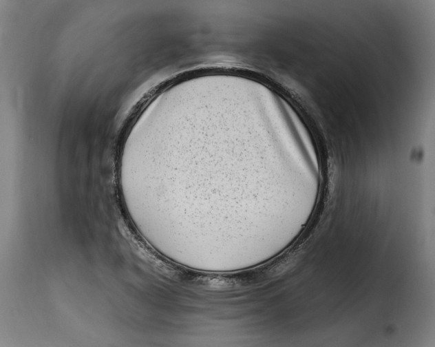 X0000115281318200911201743