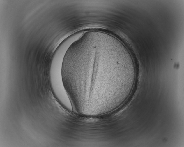 X0000115281321200911201743