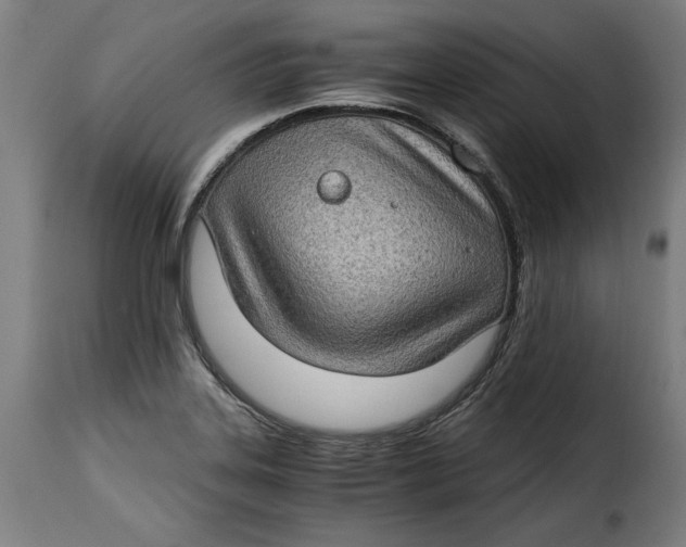 X0000115281323200911201743