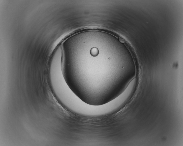 X0000115281325200911201743