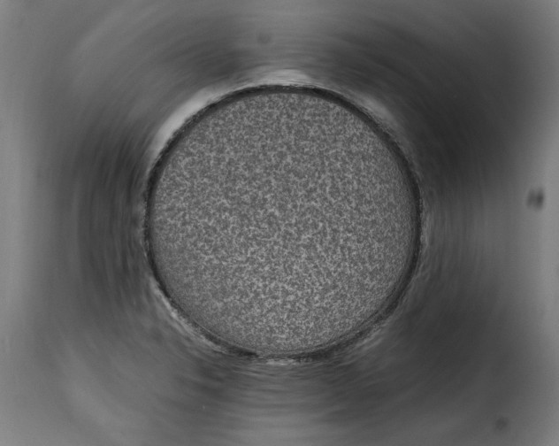 X0000115281326200911201743