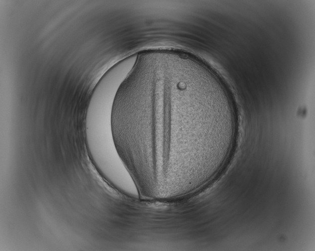 X0000115281329200911201743