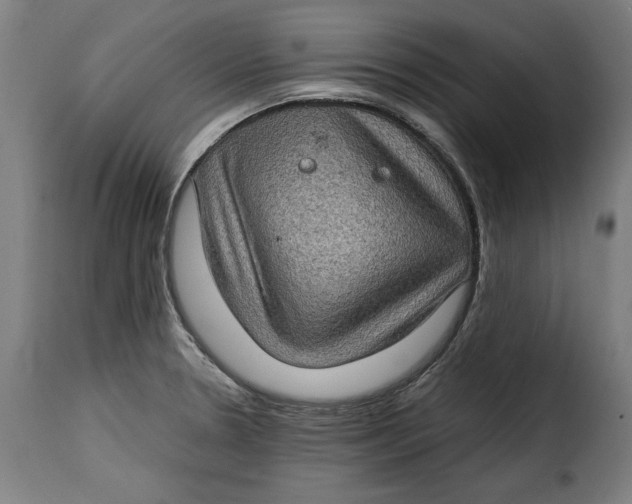 X0000115281330200911201743