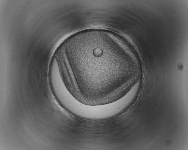 X0000115281331200911201743