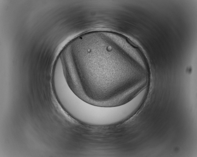 X0000115281333200911201743