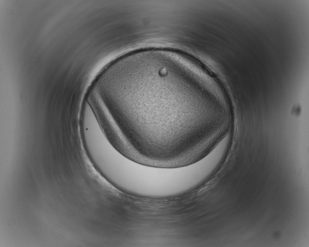 X0000115281334200911201743